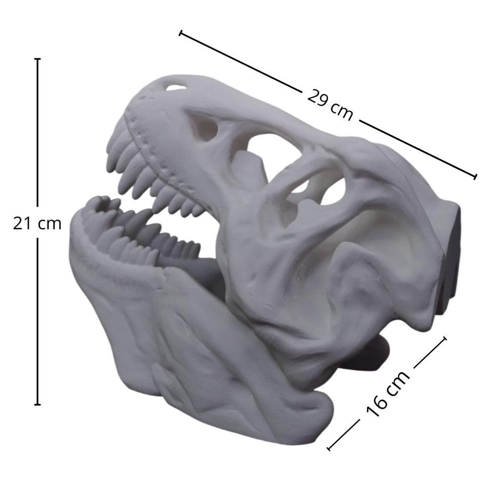 Cabeza de dinosaurio, Craneo, T Rex, Decorativa