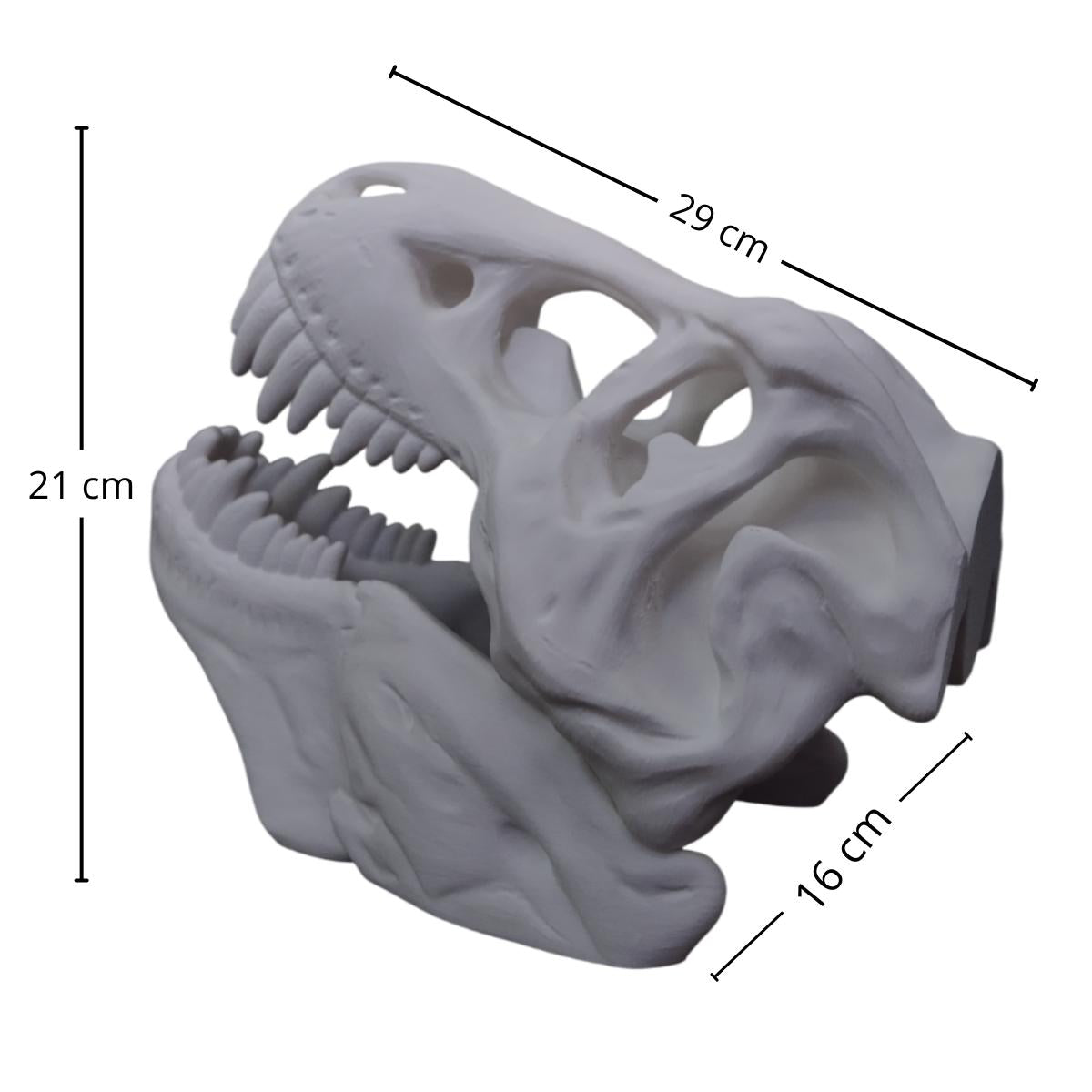 Cabeza de dinosaurio, Craneo, T Rex, Decorativa