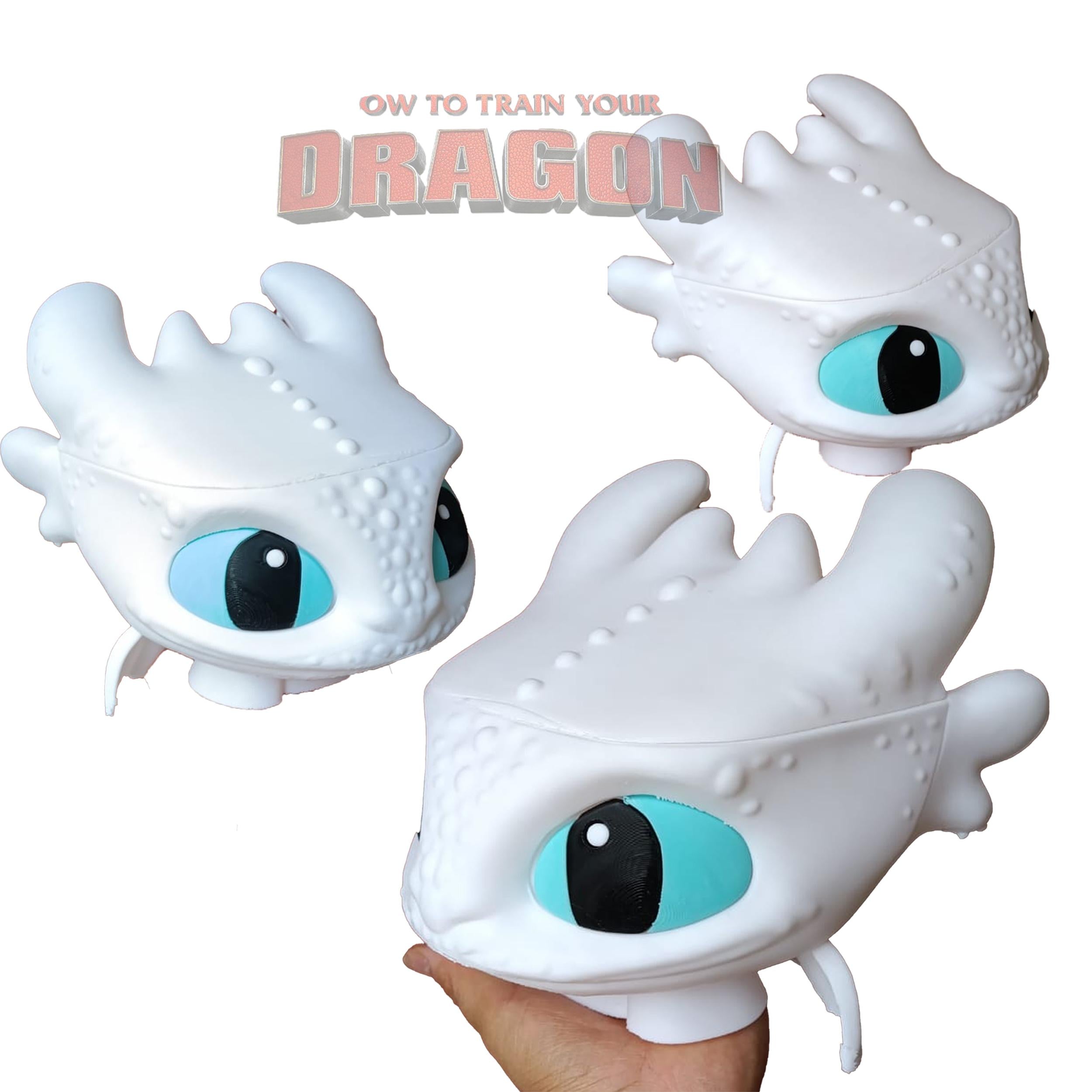 Palomera Furia Luminosa, Como entrenar a tu dragón