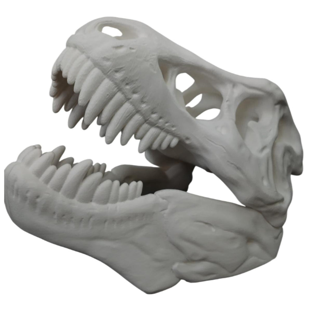 Cabeza de dinosaurio, Craneo, T Rex, Decorativa